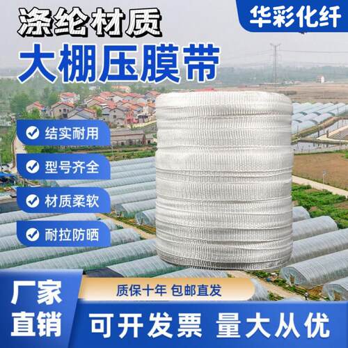 大棚压膜带加厚专用压膜绳绑带拉枝绳抗老化白色涤纶扁带防晒耐用