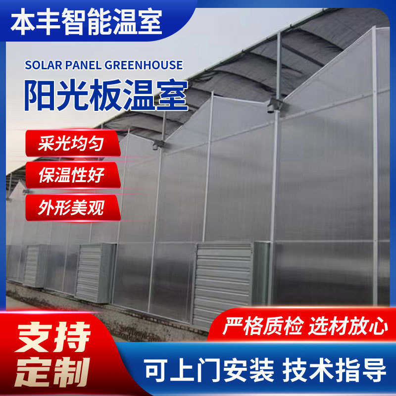 农业蔬菜大棚阳光板温室园林种植大棚工程建设阳光板温室大棚