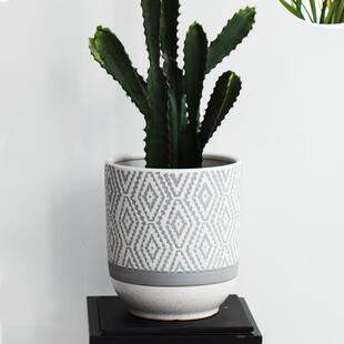 北陶花盆大号欧财简约家用客厅瓷虎皮兰发树千年HX496镂木绿植龟