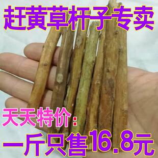 新疆包邮赶黄草杆子 四川泸州古蔺 野生赶黄草叶花杆 500g克包邮