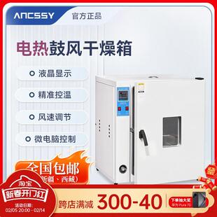 艾析电热鼓风干燥箱实验室真空小型烘干机高温烘箱恒温工业用烤箱