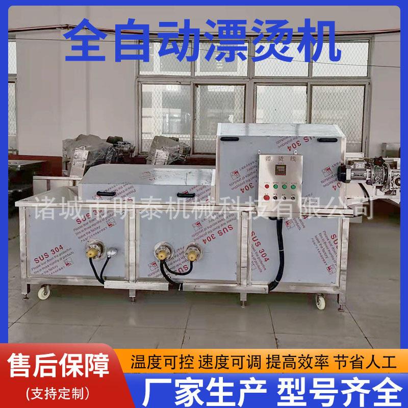 青菜全自动漂烫机豆角豇豆漂烫冷却线大虾鱿鱼扇贝鲍鱼连续预煮机