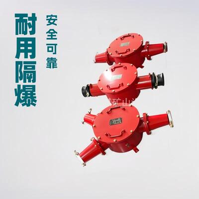 BHG1-200/10-3G矿用隔爆型压电缆接线盒 防爆三通光纤接线盒