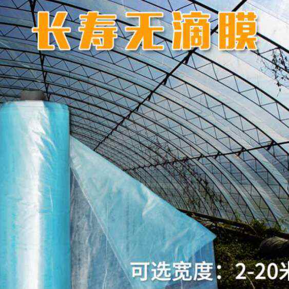 透明塑料薄膜膜养殖塑料布抗老化膜无滴长寿蓝色农用蔬菜大棚加厚