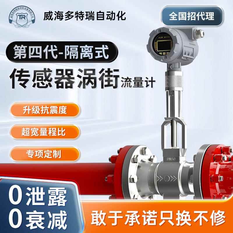 一体式隔离式涡街流量计TS监检证书压缩空气氮气液体高精度