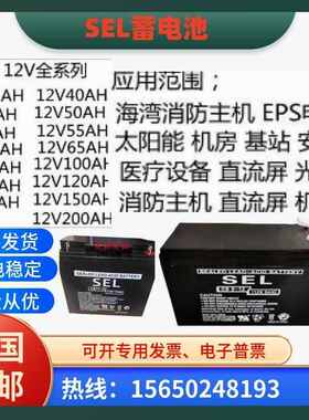 SEL蓄电池CB19-12应急启动电源12V19AH登路普邓禄普12V9AH17A电瓶