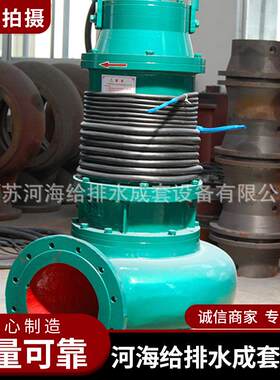 单向双潜水贯流泵无堵塞污水泵潜水泵离心泵