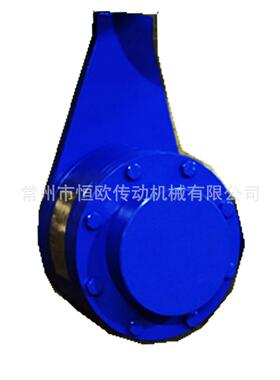 供应港口吊机楔块式逆止器CKNZ-I-3300