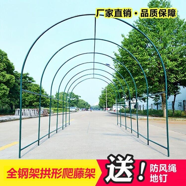 植物爬藤架暖房钢管花架葡萄架大棚骨架百香果支架庭院园艺攀爬架