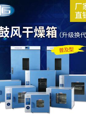 上海直销鼓风干燥箱实验室烘箱小型恒温暖箱DHG-9030