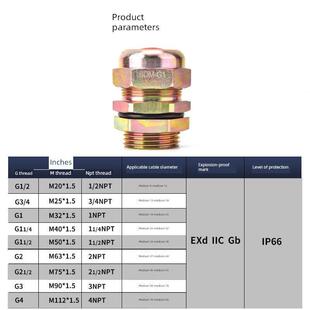 防爆电缆夹紧密封接头BDM-II防爆格兰头密封防水引入装置可定制