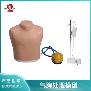 博友气胸穿刺与淋巴结穿刺仿真模型仿真人体模具训练模拟人
