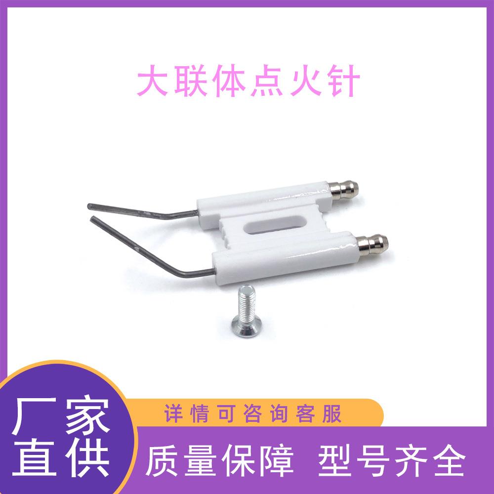 点火压器套装生物粒点变火器颗燃烧机件点火针2根点火配UAX线点火