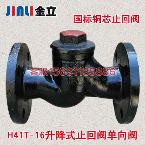 H41T-16升降式止回阀 法兰逆止阀单向阀DN25 40 50 65 80 100 150