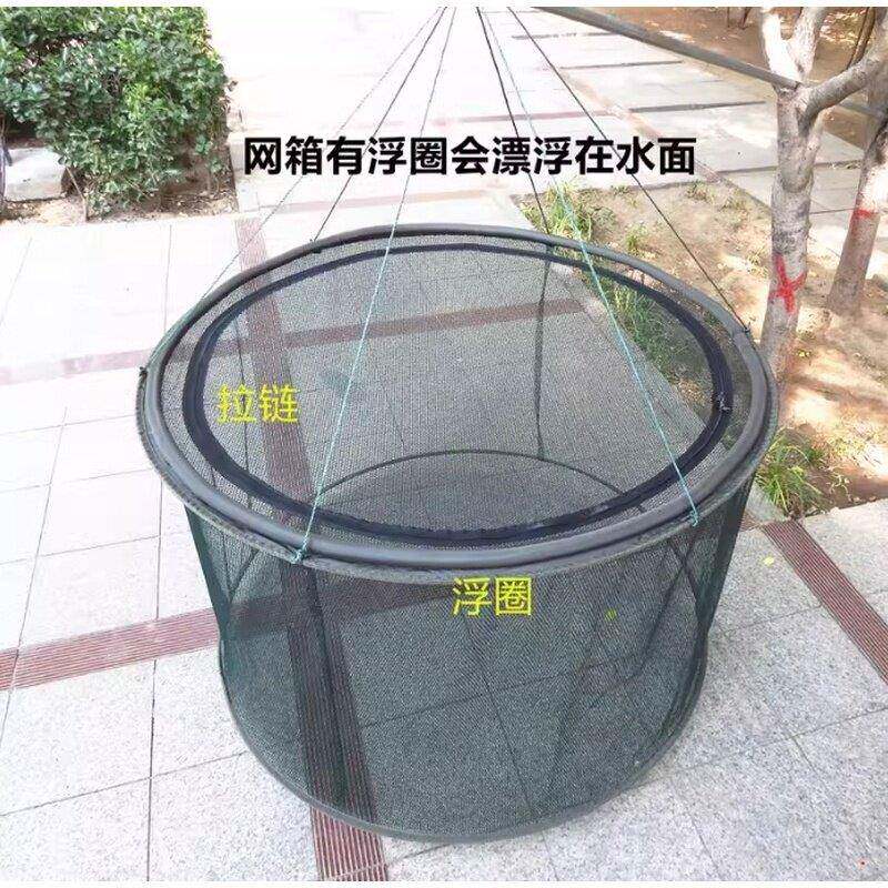 养殖网箱折叠养鱼锦鲤漂浮网圈鱼护病鱼隔离网箱可折叠装鱼护箱网