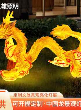 户外发光中国龙造型灯商场广场玻璃钢雕塑装饰灯定制庭院景观灯