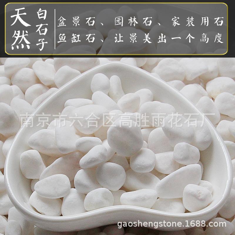 白石子鱼缸多肉园盆栽铺面林装景白色石头庭院观铺398路饰鹅卵石