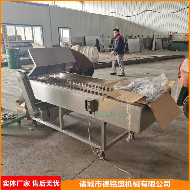 渔船打捞的鲜带鱼切段机 鱼肉块加工设备 冰冻带鱼分段机