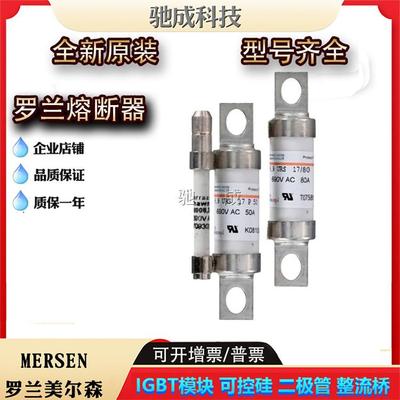 美尔森BS17US69V75P BS17US69V80P BS217UT69V65新保险丝供应