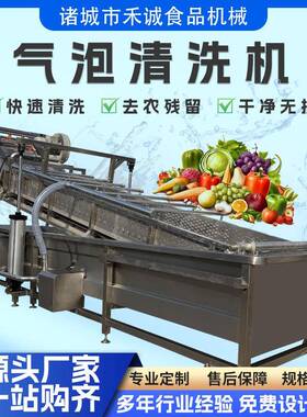 果蔬全自动气泡清洗机贡菜鹿茸菇气泡清洗机鞭炮笋海带气泡清洗机