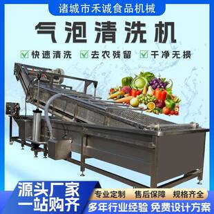 果蔬全自动气泡清洗机贡菜鹿茸菇气泡清洗机鞭炮笋海带气泡清洗机