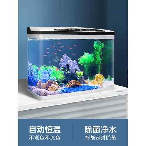 智能恒温鱼缸客厅小型家用新款水族箱懒人免换水自循环桌面金鱼缸