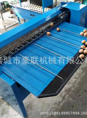 鸡蛋分级机 蛋品自动分选 设备三道五级分选 每小时5400枚产量