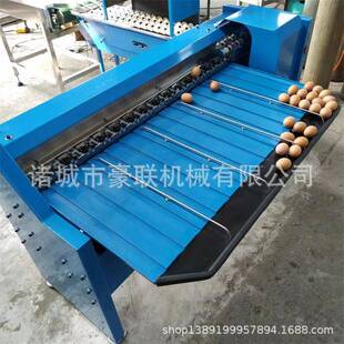 每小时5400枚产量 设备三道五级分选 鸡蛋分级机 蛋品自动分选