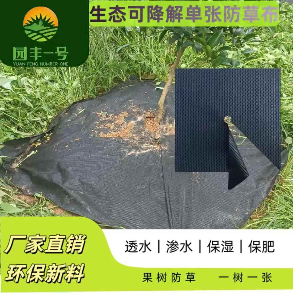 园丰一号防草布农用果园果树除草耐用透气透水保湿防草布地膜厂家