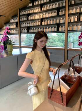 切糕自制小个子夏季新款裙子女日常好看新中式连衣裙旗袍高级长裙