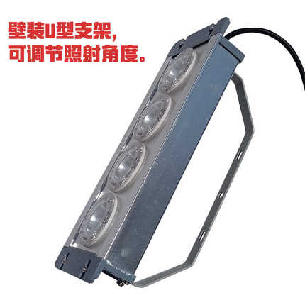 NFE9121/NFC9121嵌入式LED地沟灯 工厂直供配电专用LED应急低顶灯