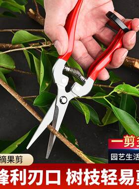 园艺摘果剪蔬果剪树枝剪葡萄采果剪花艺盘景园林修枝剪工具