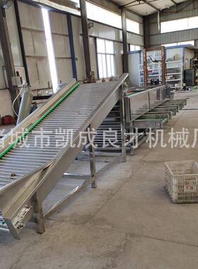 滚杠式选果机良才牌地黄分级机白芍分级机果蔬加工设备