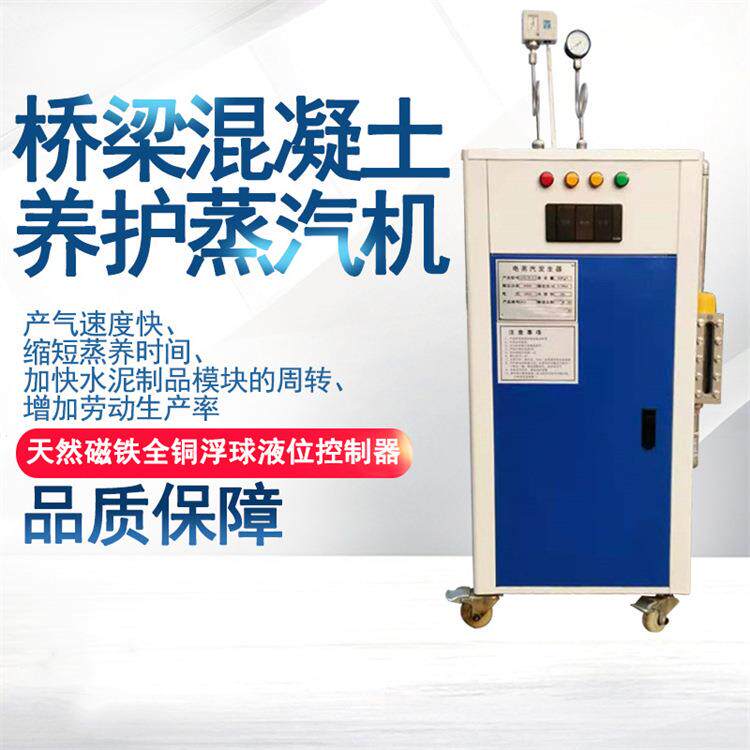 混凝土水泥制品冬季养护加温48KW蒸汽发生器预制梁场冬季保养设备