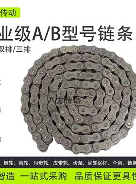 工业传动链条短节距滚子3456分1寸06B08B10A12A16A20A24A单双排链