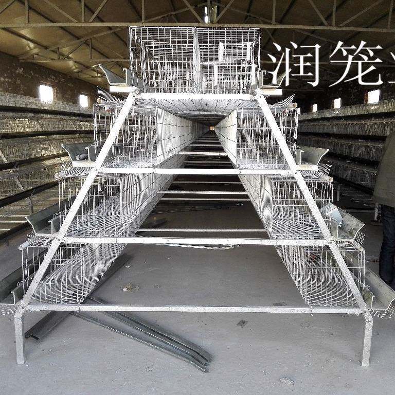 厂家供应3层4层阶梯式层叠式蛋鸡笼青年鸡笼肉鸡育雏鸡笼养殖饲养