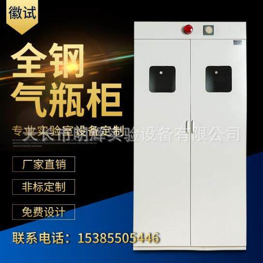 工业气瓶柜智能报警防爆全钢三瓶双瓶气瓶乙炔单瓶实验室储存柜子