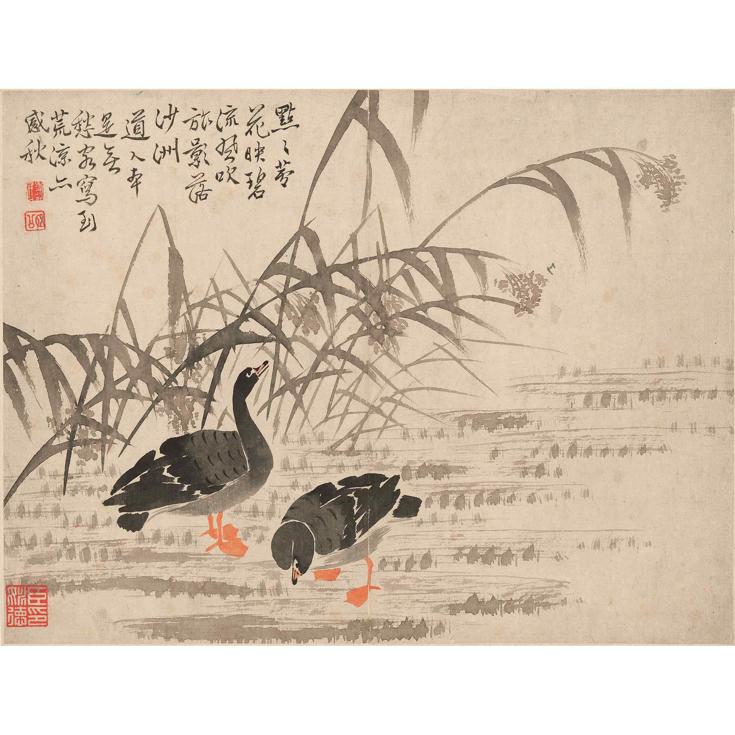 新品清边寿民芦雁图册