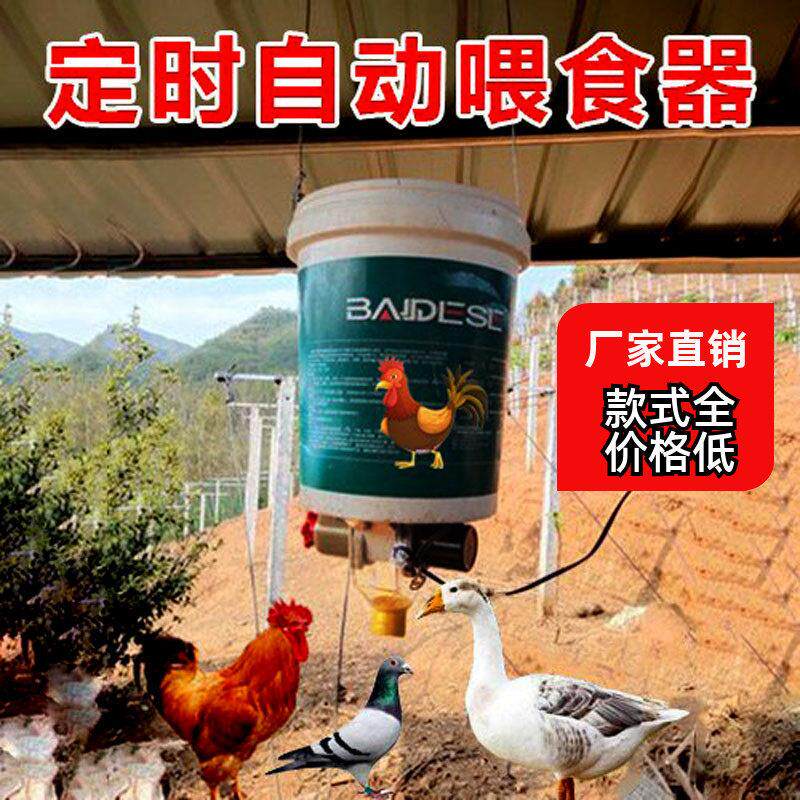 鸽子鸡鸭鹅定时喂食器全自动投料机喂鸡宠物兔子狗家禽自动喂食器