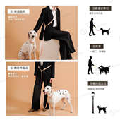 新款 户外遛狗绳子PVC小中型犬宠物牵引绳多功能狗狗牵引带批