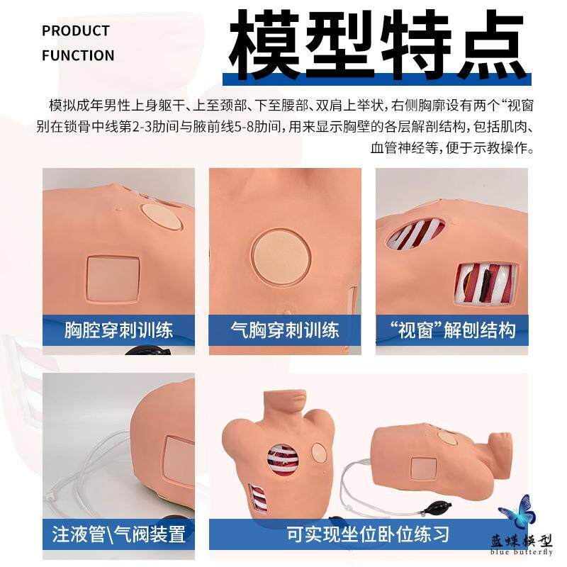 胸腔闭式引流模型 胸腔穿刺训练模型 胸腔创伤后气胸引流处理模型
