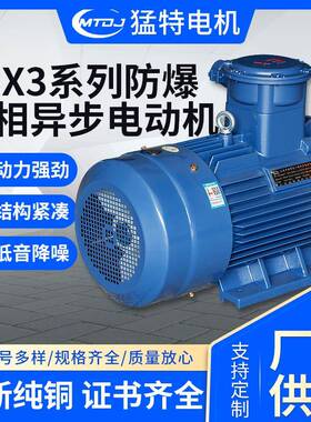 YBX3防爆电机三相异步电动机爆炸性气体粉尘高效隔爆型电动机