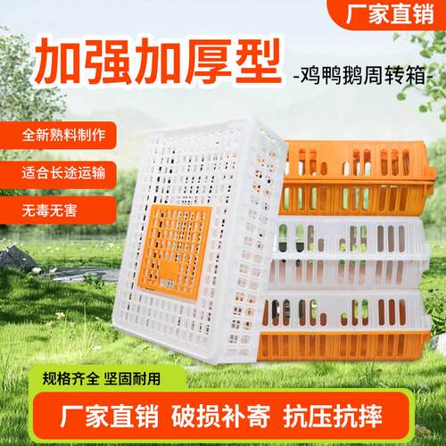 鸡笼周转箱 鸡笼子运输养殖塑料家用大号特大筐 成鸡鸭鹅鸽子兔笼