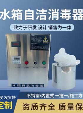 WTS-2A不锈钢水箱自洁消毒器水处理设备臭氧灭菌净化水臭氧发生器