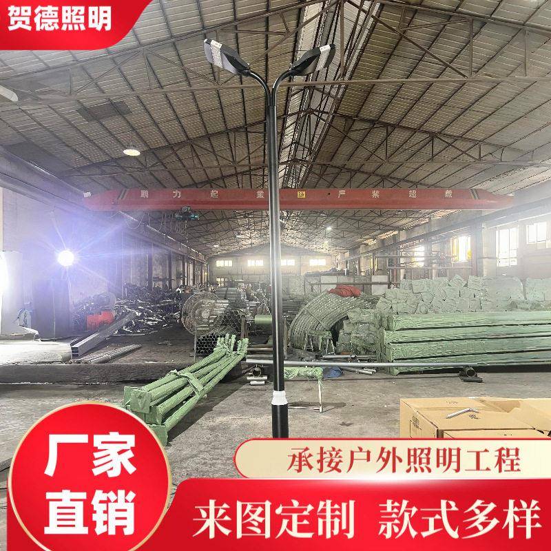 定制庭院灯头户外景观灯公园杆灯多头小区道路物业路灯维修改造