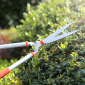 修枝大大剪刀剪剪树枝果树绿篱伸缩剪刀花剪园艺修园林剪