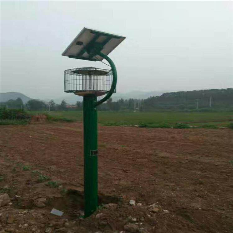 太阳能频振式防护网杀虫灯户外林农业灭蛾果园茶园诱虫养殖灭蚊灯