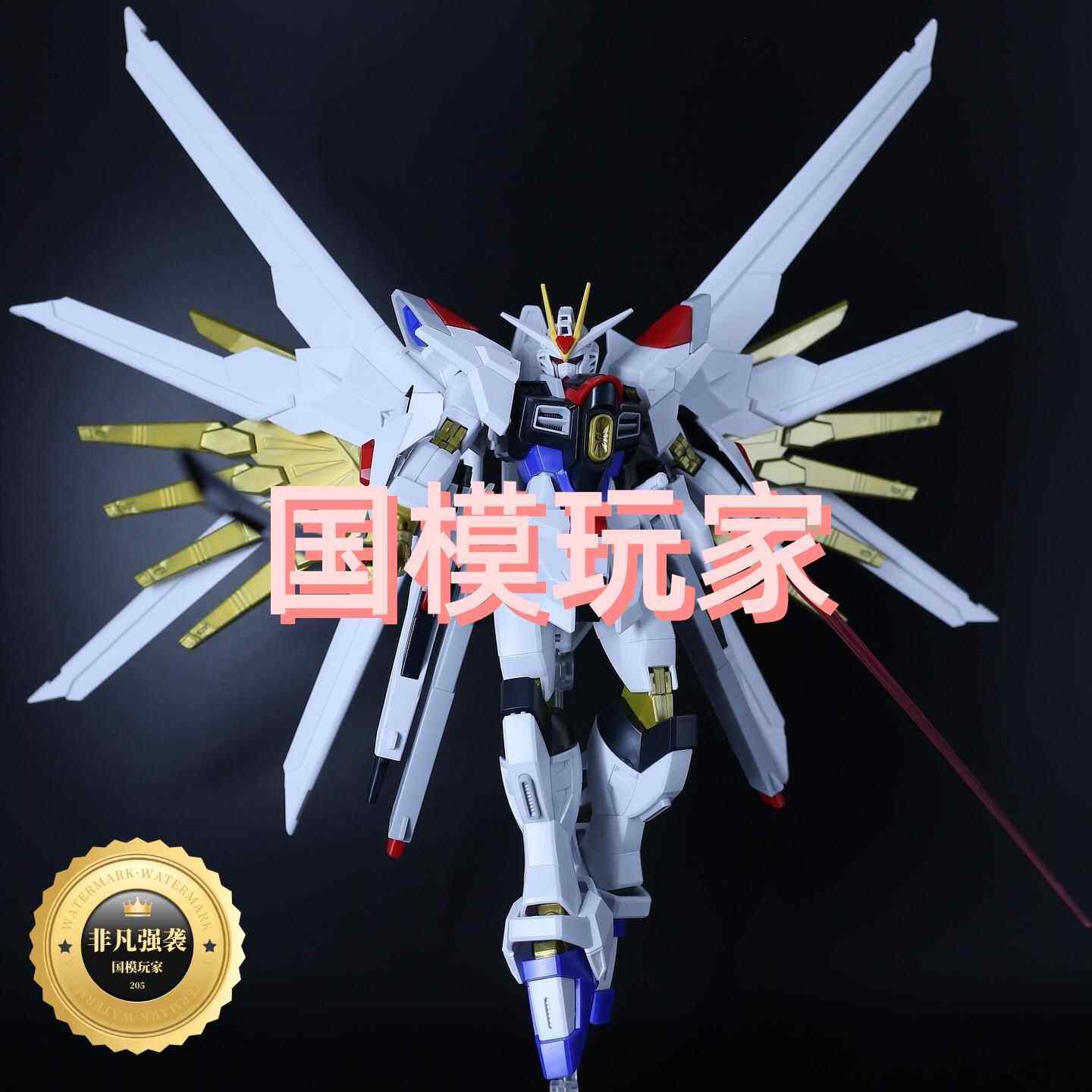 高高非凡强袭自由新品SEED剧场版国产HG模型拼装送武器支架