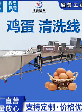中小型自动洗蛋机304不锈钢蛋品加工成套设备鸡蛋清洗风干喷油