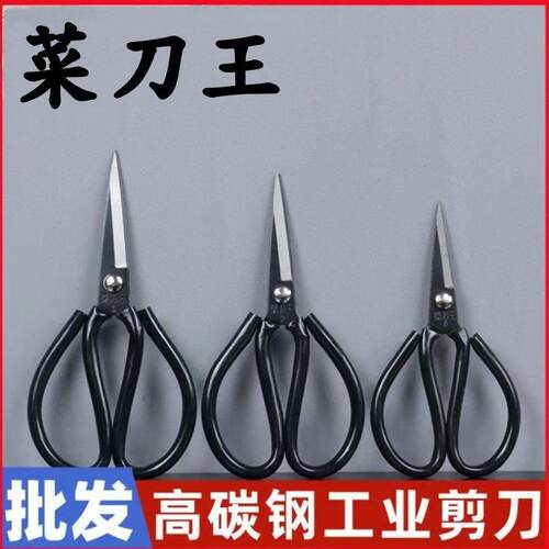 Stainless Steel Scissors, Multi-functional Kitchen Shears, B
